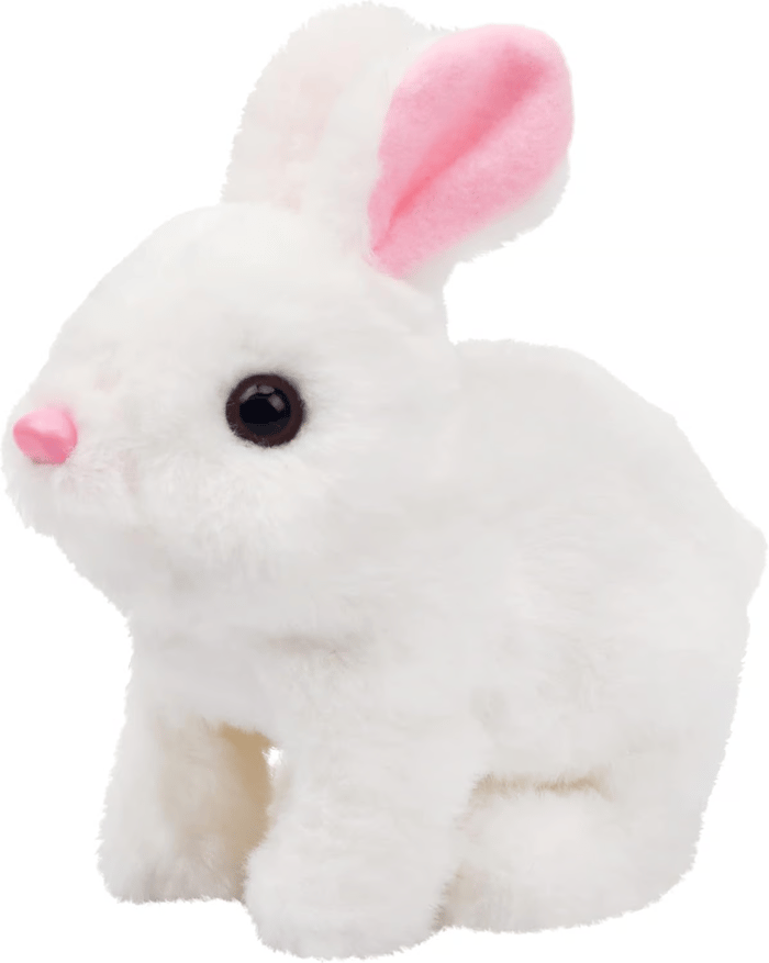 Pack Of 03 - 🐇Bunby - My Bunny Toy