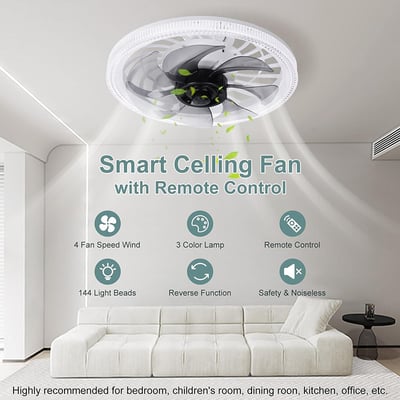 Adjustable Ceiling Fan