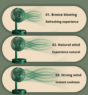 Elescopic Folding Fan